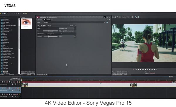 Sony Vegas Pro 15