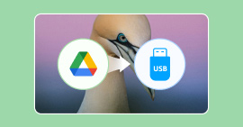 Google Fotos auf USB-Stick übertragen